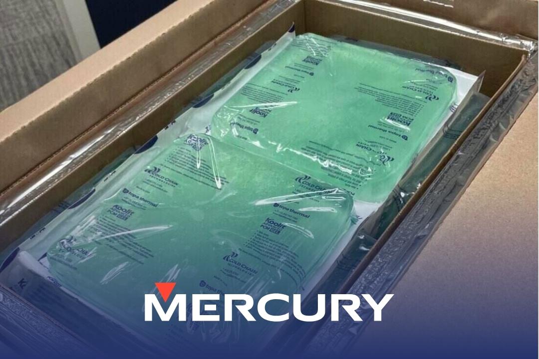 Guide to Choosing Cold Chain Box Size for Shipping