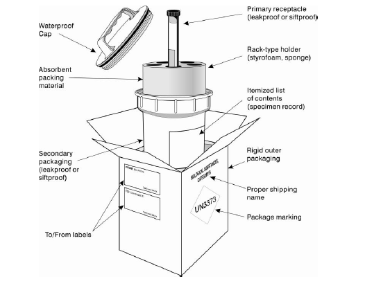 Example of the triple packaging system for the packing and labeling of Category B, UN 3373 infectious substances